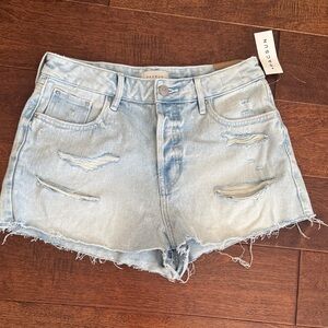 Pacsun Blue Jean Shorts